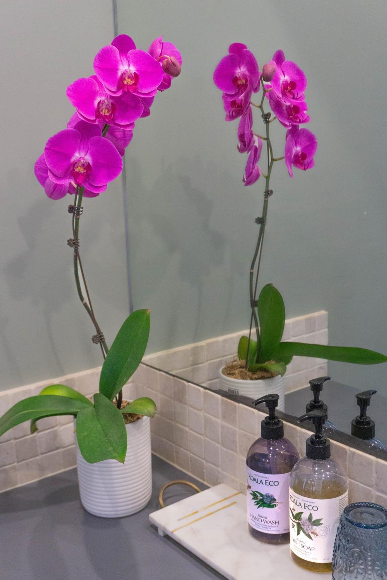 Villa Margaret Retreat Pet Friendly Unit Margaret River Esterno foto